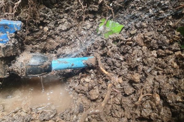 Water Mains Leak Detection Jarrow